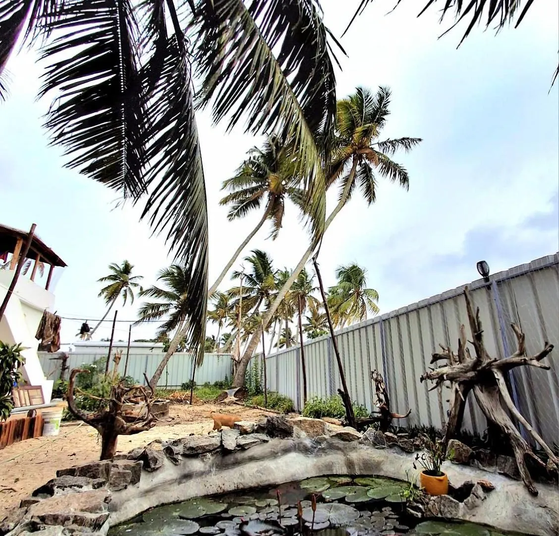 Sadhana On The Beach Alappuzha Hostel